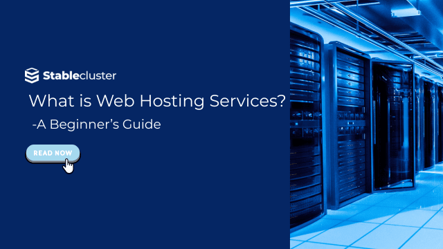 What are Web Hosting Services? A Beginner’s Guide